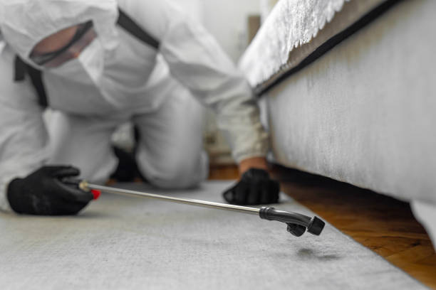 Professional Cockroach Control technician working in Hudson, WI